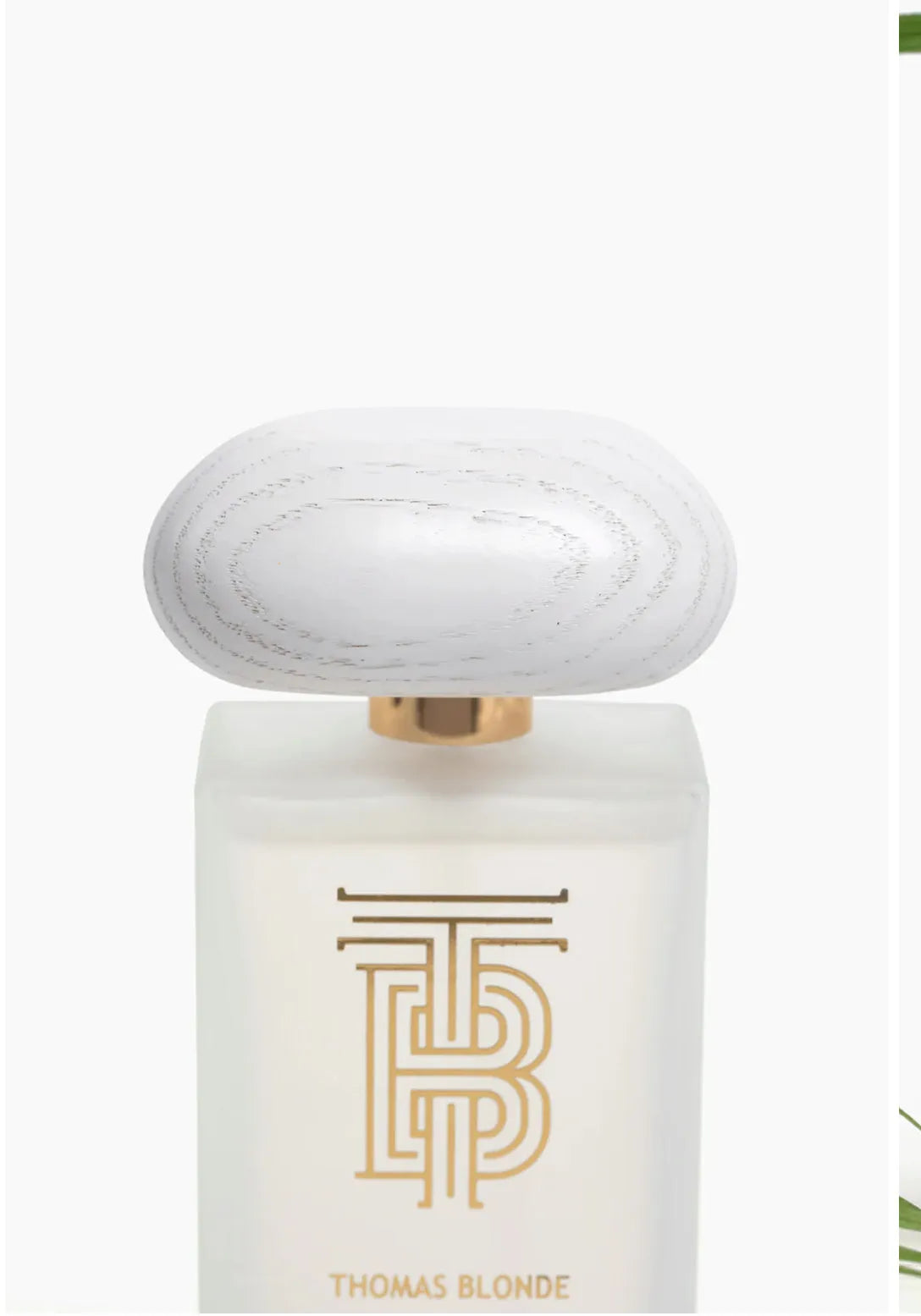 Thomas Blonde Joshua Tree Eau de Parfum bottle with a frosted glass finish, a gold accent, and a white, textured cap.