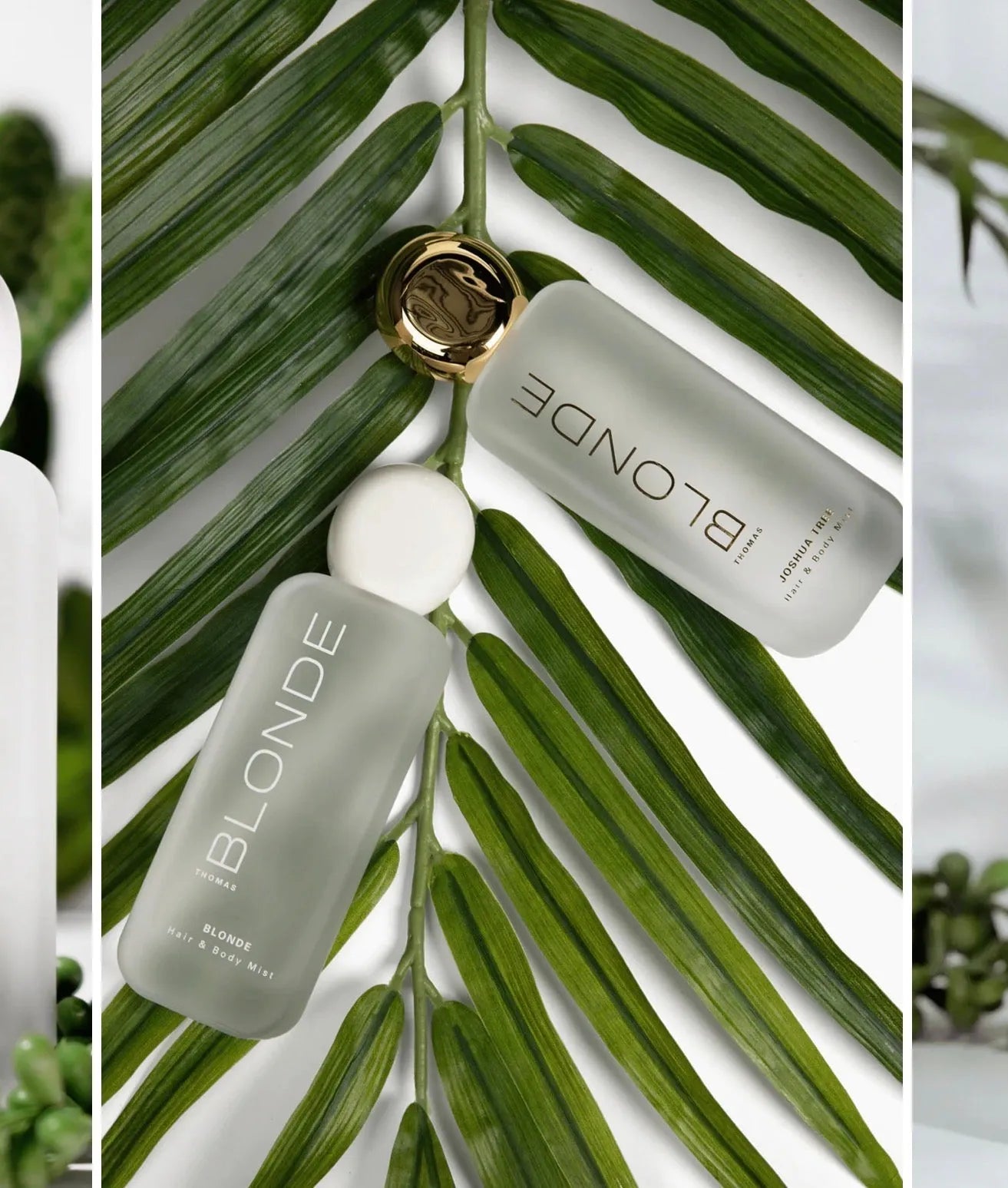 Two frosted glass bottles of Thomas Blonde Hair & Body Mist with gold and white caps, surrounded by green palm leaves.