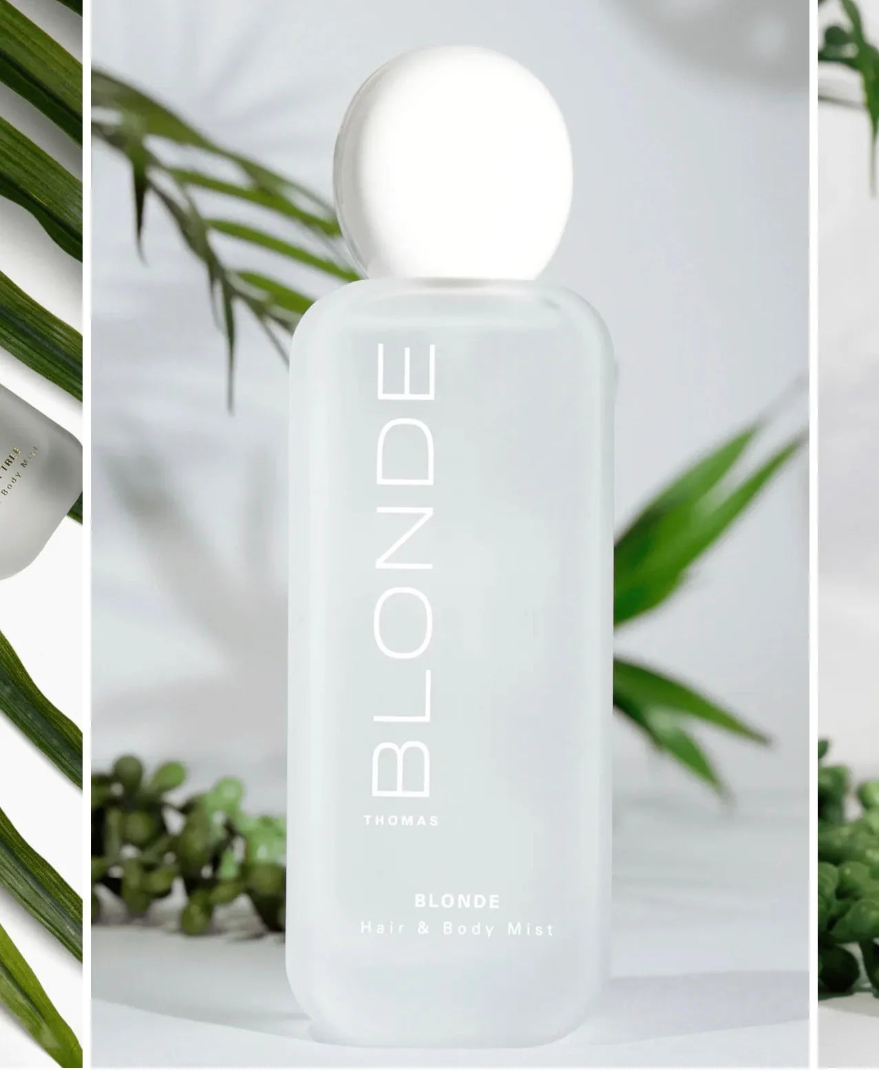 Thomas Blonde Hair & Body Mist: frosted bottle with white cap and minimalist text, surrounded by lush green leaves.