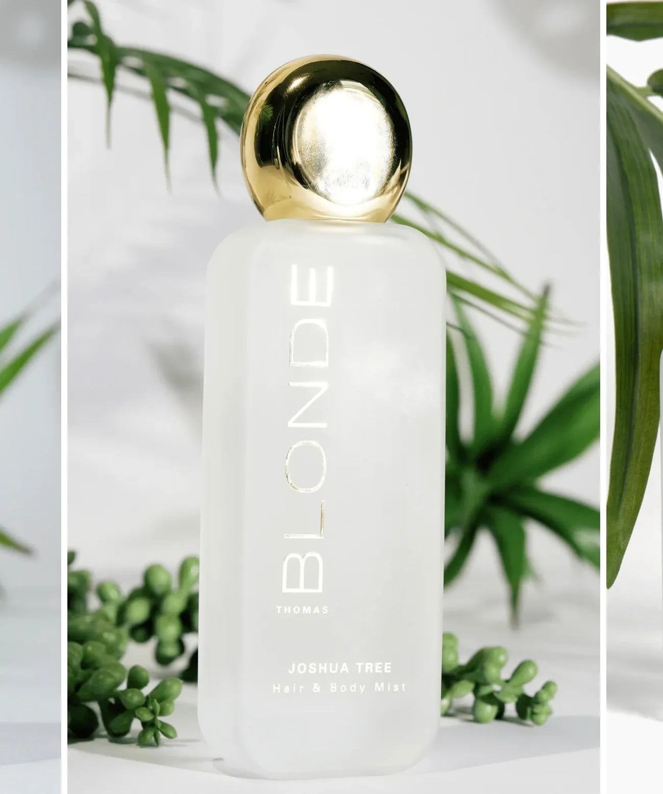 Thomas Blonde "Joshua Tree" Hair & Body Mist in a frosted white bottle with a gold cap, surrounded by greenery.