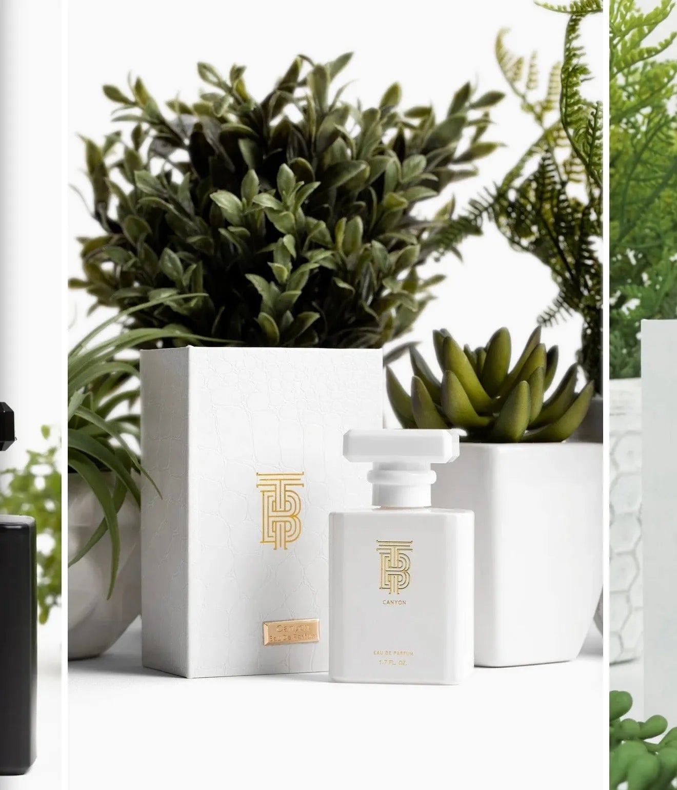 Thomas Blonde "Canyon" Eau de Parfum 1.7 FL. OZ. white bottle with gold TB logo & box, surrounded by green plants.