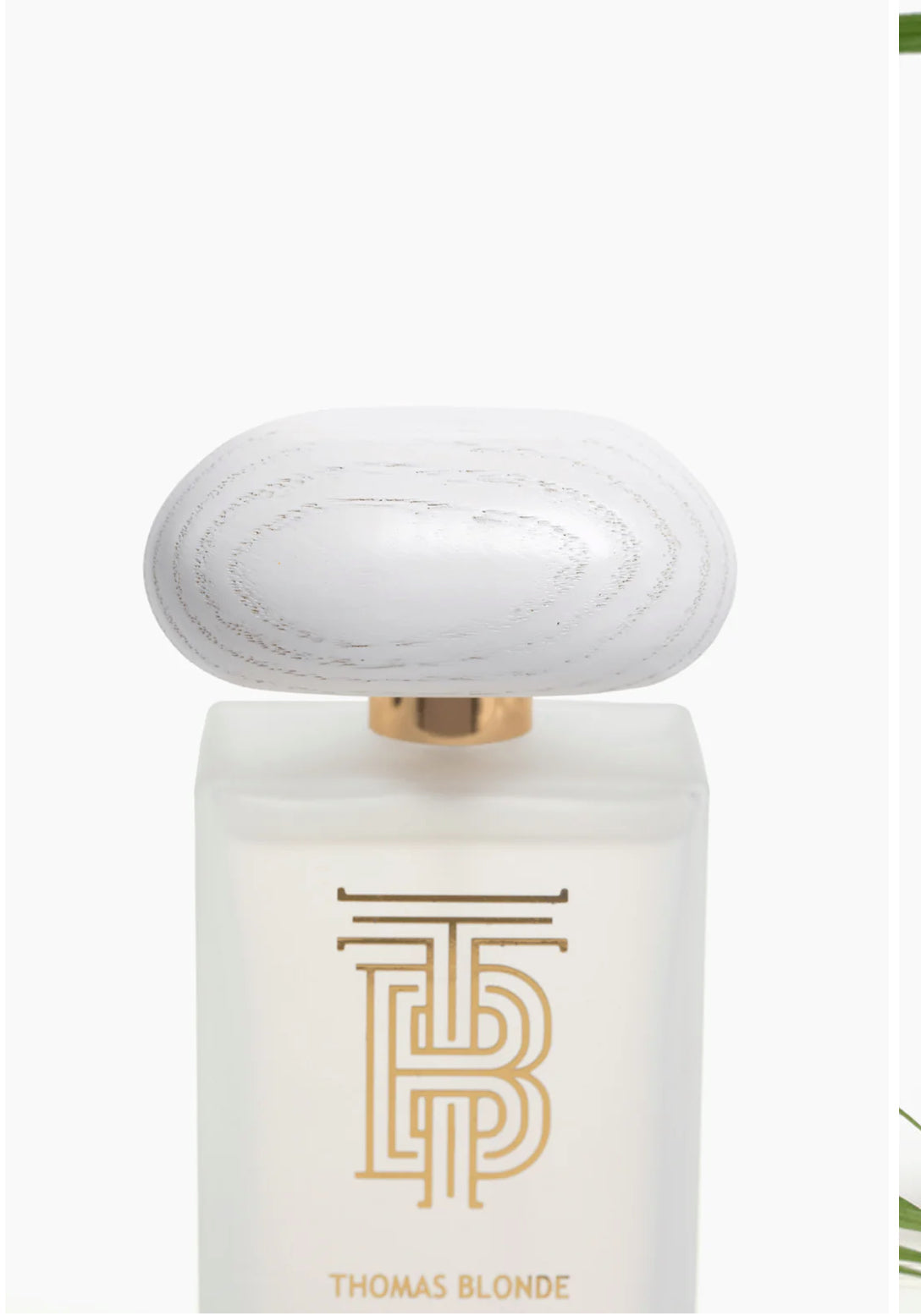 THOMAS BLONDE EAU DE PARFUM- JOSHUA TREE